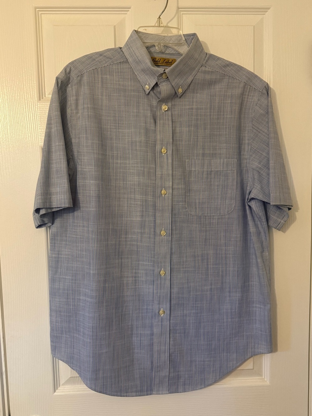 Roundtree & Yorke Light Blue Striped Short-Sleeve Button-Down Men’s Shirt